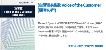 (自習書)機能: Voice of the Customer (顧客の声)
