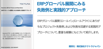 ERPグローバル展開にみる失敗例と実践的アプローチ