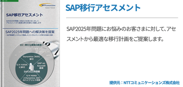 SAP移行アセスメント