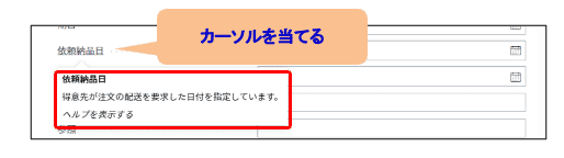入力フィールドの説明