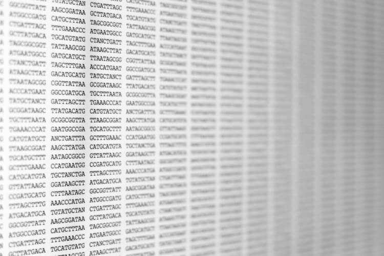 マルチオミクス解析とは？ 注目理由や事例などを紹介