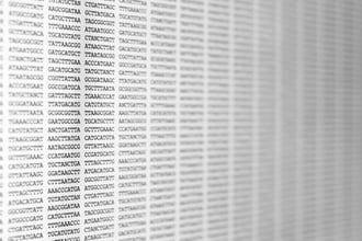 マルチオミクス解析とは？ 注目理由や事例などを紹介