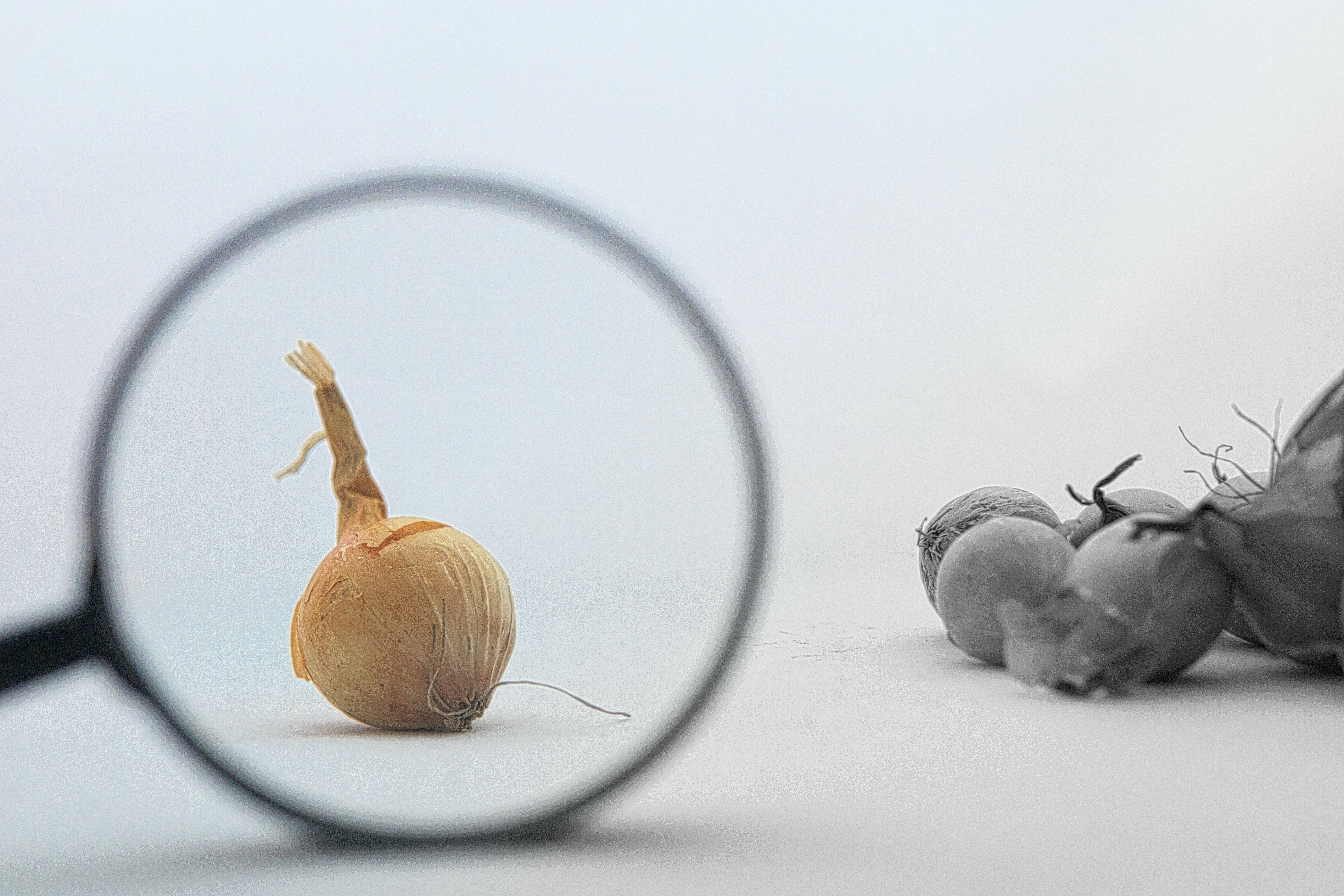 Microsoft 365 Business Basicとは？価格や何ができるかについて徹底解説-06