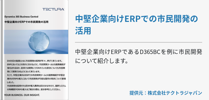 中堅企業向けERPでの市⺠開発の活用