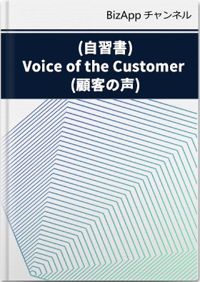 (自習書)機能: Voice of the Customer (顧客の声)
