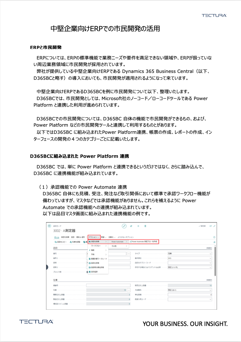 中堅企業向けERPでの市⺠開発の活用-01