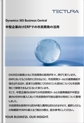 中堅企業向けERPでの市⺠開発の活用