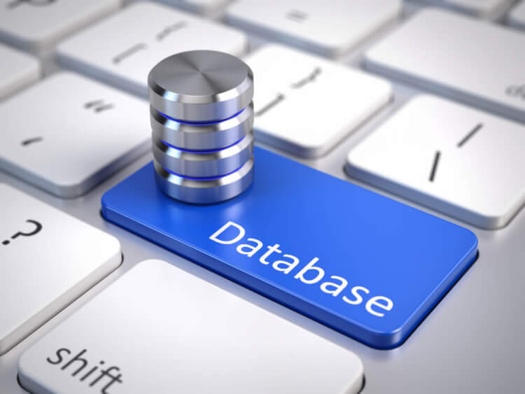 Azure SQL Databaseで生産性向上と持続的な経営を
